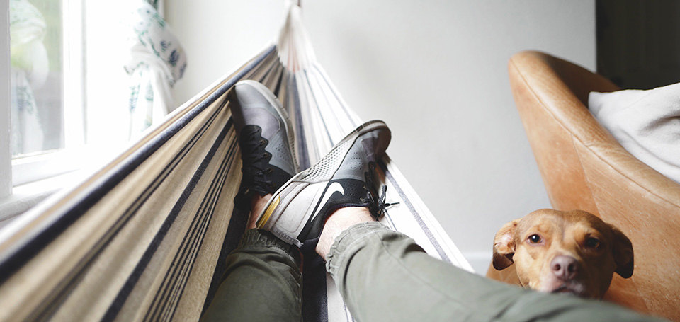 career-office-01.jpg Guy relaxing in a hammock